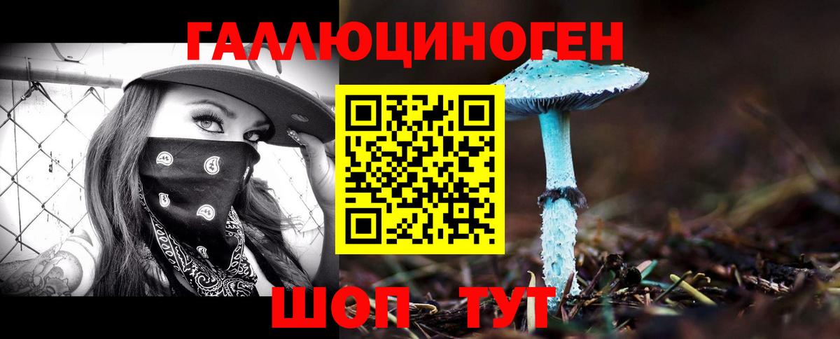 Богданович  Псилоцибиновые грибы ЛСД  продажа наркотиков  Вход с VPN 